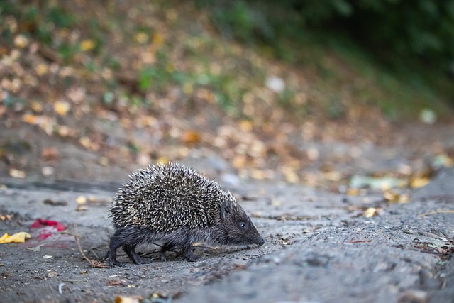 方式多樣 方式多樣