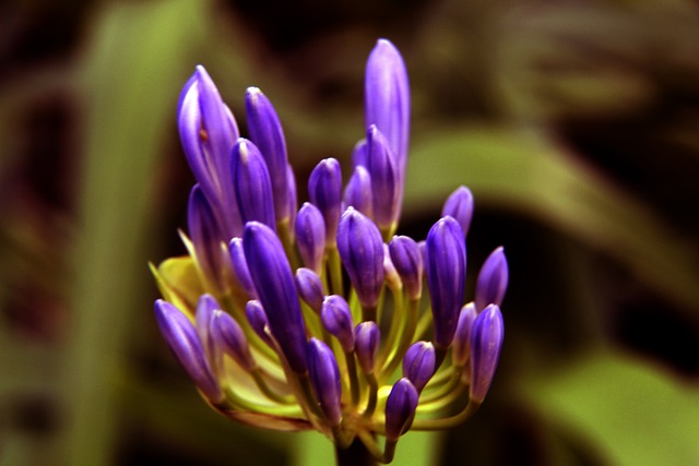 守對位中 守對位中