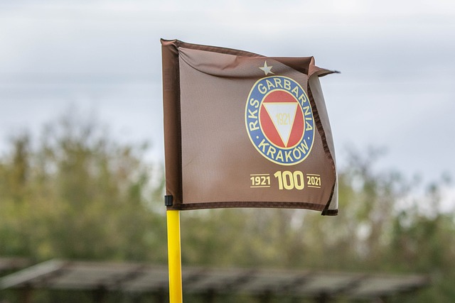 和球队的革 和球队的革