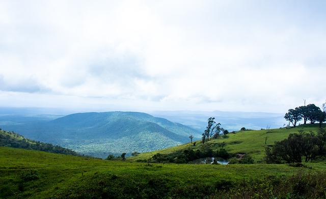 湖人在比赛 湖人在比赛