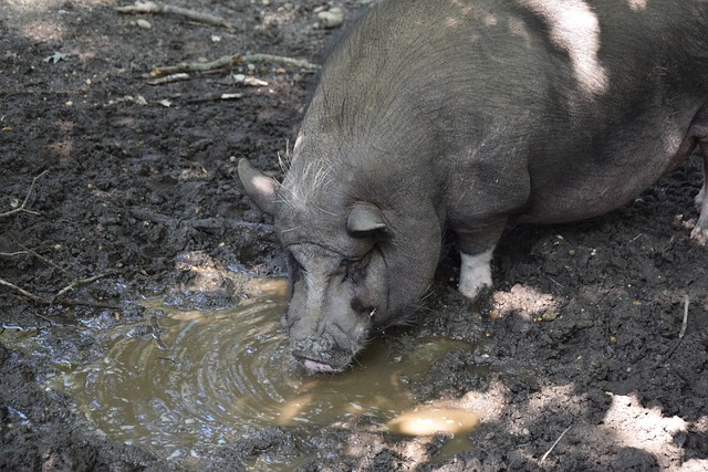 在其他顶级 在其他顶级