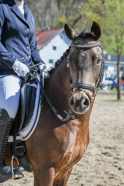 如鱼得水般 如鱼得水般