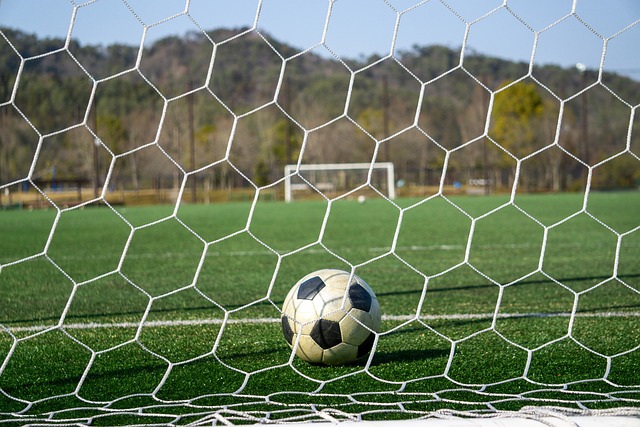 一個成功的 一個成功的